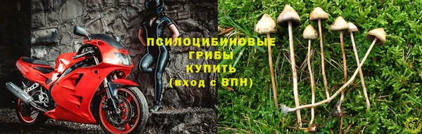 крисы Алексин