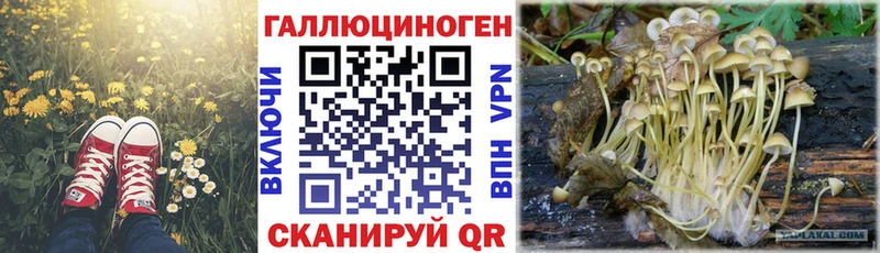 наркошоп  Беслан  Псилоцибиновые грибы прущие грибы 